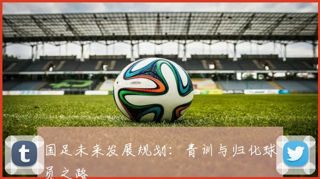 国足未来发展规划：青训与归化球员之路