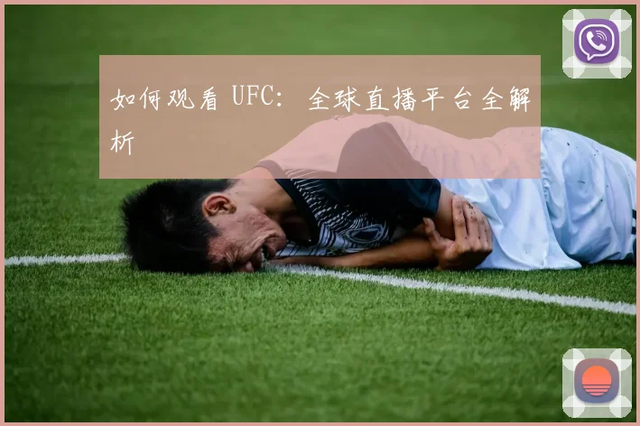 如何观看 UFC:全球直播平台全解析